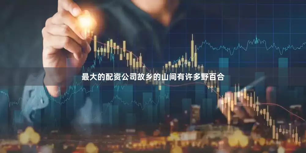 最大的配资公司故乡的山间有许多野百合